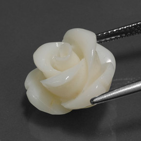 8.97캐럿 천연 하얀색 산호, 멋진 모양, 불투명체