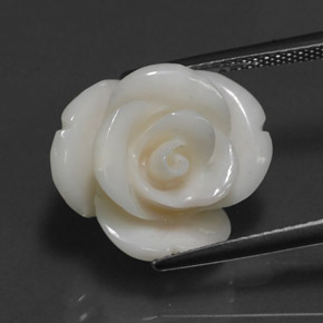 10.95캐럿 천연 화이트 산호, 멋진 모양, 16.7×14.3 mm, 불투명체