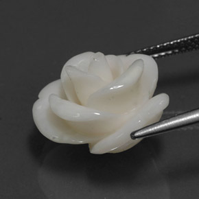 10.95캐럿 천연 화이트 산호, 멋진 모양, 16.7×14.3 mm, 불투명체