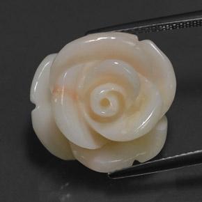 17.14캐럿 천연 핑크 산호, 멋진 모양, 17.9×17.6 mm, 불투명체