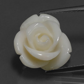 14.08캐럿 천연 화이트 산호, 멋진 모양, 17×15.7 mm, 불투명체
