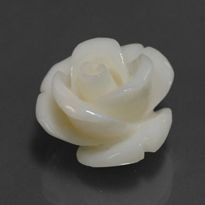 14.08캐럿 천연 화이트 산호, 멋진 모양, 17×15.7 mm, 불투명체