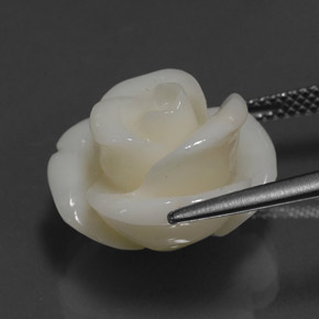 14.08캐럿 천연 화이트 산호, 멋진 모양, 17×15.7 mm, 불투명체