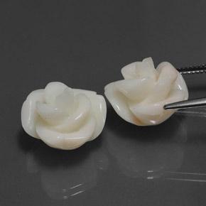 25.34캐럿 천연 핑크 산호 보석, 멋진 모양, 16.2×14.6 mm, 불투명체