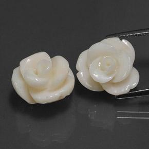 21.60캐럿 천연 크림 화이트 산호 보석, 플라워 컷, 15.5×13.9 mm, 불투명체