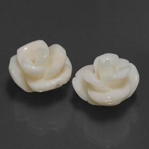 21.60캐럿 천연 크림 화이트 산호 보석, 플라워 컷, 15.5×13.9 mm, 불투명체