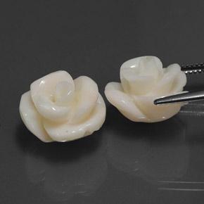 21.60캐럿 천연 크림 화이트 산호 보석, 플라워 컷, 15.5×13.9 mm, 불투명체