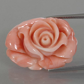 22.59캐럿 천연 멀티컬러 산호, 멋진 모양, 26.4×19.7 mm, 불투명체