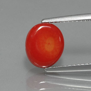 2.35캐럿 천연 살몬 산호, 멋진 모양, 9.1×7.9 mm, 불투명체