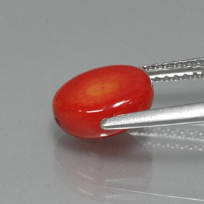 2.35캐럿 천연 살몬 산호, 멋진 모양, 9.1×7.9 mm, 불투명체