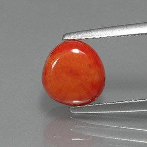 2.25캐럿 천연 살몬 산호, 멋진 모양, 7.9×7.7 mm, 불투명체