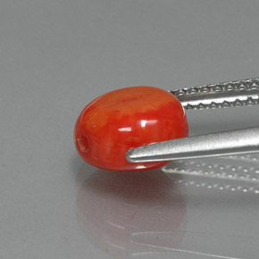 2.25캐럿 천연 살몬 산호, 멋진 모양, 7.9×7.7 mm, 불투명체