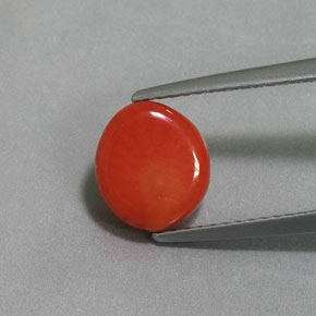 2.12캐럿 천연 살몬 산호, 멋진 모양, 8.8×7.8 mm, 불투명체