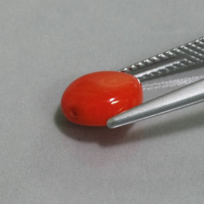 2.12캐럿 천연 살몬 산호, 멋진 모양, 8.8×7.8 mm, 불투명체