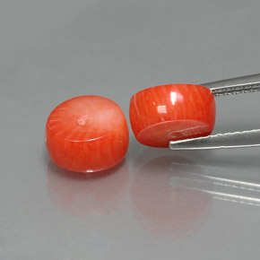 캐럿 천연 살몬 산호 보석, 멋진 모양, 불투명체