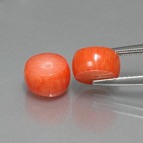 캐럿 천연 연어 산호 보석, 멋진 모양, 불투명체