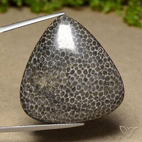 44.83ct 자연스러운 다색 산호, 배 모양, 불투명체