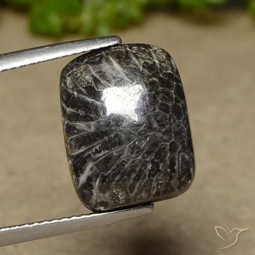 11.07ct 자연스러운 다색 산호, 방석, 불투명체