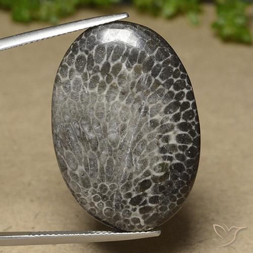 25.50ct 자연스러운 다색 산호, 타원형, 불투명체