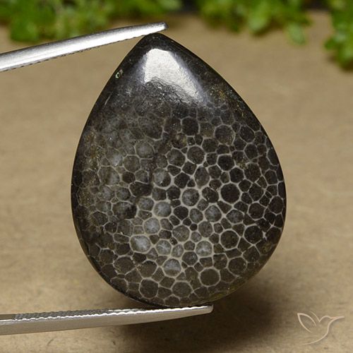 21.35캐럿 천연 다색 산호, 배 모양, 불투명체