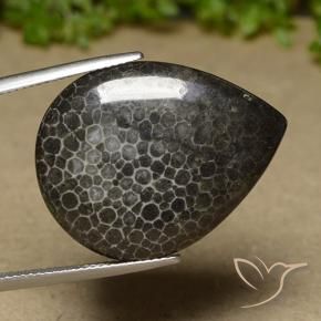 21.35캐럿 천연 다색 산호, 배 모양, 불투명체