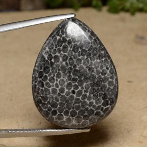 22.48캐럿 천연 다색 산호, 배 모양, 불투명체