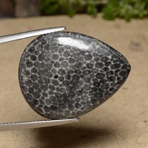 22.48캐럿 천연 다색 산호, 배 모양, 불투명체