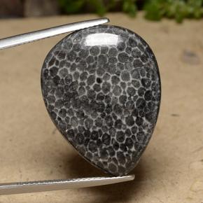 22.48캐럿 천연 다색 산호, 배 모양, 불투명체