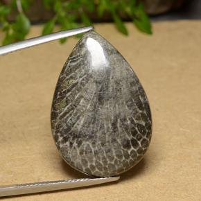 20.56캐럿 천연 다색 산호, 배 모양, 불투명체