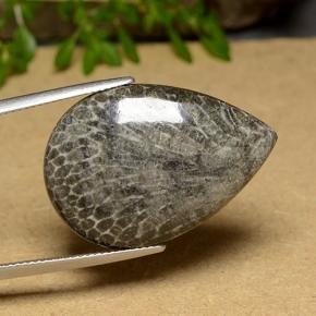 20.56캐럿 천연 다색 산호, 배 모양, 불투명체