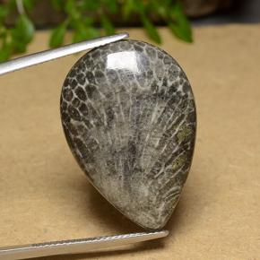 20.56캐럿 천연 다색 산호, 배 모양, 불투명체