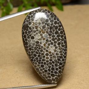 26.37캐럿 천연 다색 산호, 배 모양, 불투명체