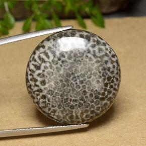 30.46캐럿 천연 멀티컬러 산호, 라운드 컷, 25.47 mm, 불투명체