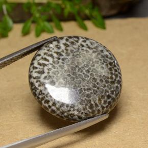 30.46캐럿 천연 멀티컬러 산호, 라운드 컷, 25.47 mm, 불투명체