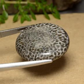 30.46캐럿 천연 멀티컬러 산호, 라운드 컷, 25.47 mm, 불투명체