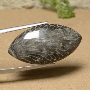 18.93캐럿 천연 멀티컬러 산호, 마퀴즈, 31.6×16.2 mm, 불투명체