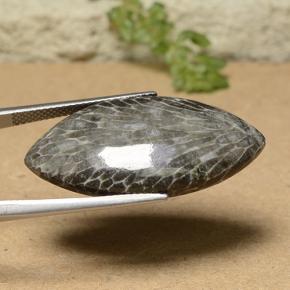 18.93캐럿 천연 멀티컬러 산호, 마퀴즈, 31.6×16.2 mm, 불투명체