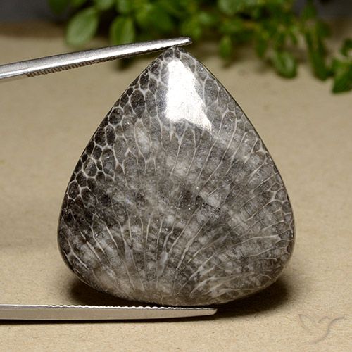 42.36ct 자연스러운 다색 산호, 배 모양, 불투명체