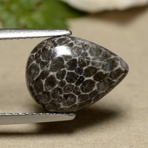 2.93캐럿 천연 회색 산호, 배 모양, 불투명체