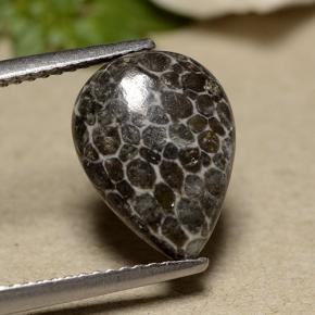 2.93캐럿 천연 회색 산호, 배 모양, 불투명체