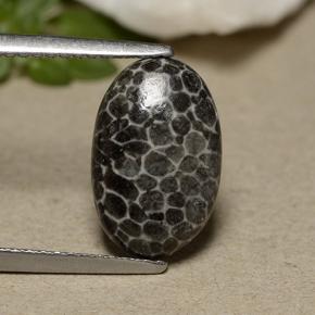 2.44캐럿 천연 그레이 산호, 타원형 컷, 12.6×8.2 mm, 불투명체