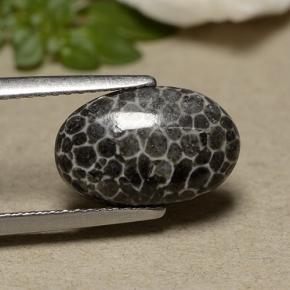2.44캐럿 천연 그레이 산호, 타원형 컷, 12.6×8.2 mm, 불투명체