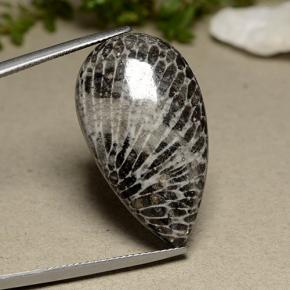 24.91캐럿 천연 그레이 산호, 배 모양, 29.5×16.9 mm, 불투명체