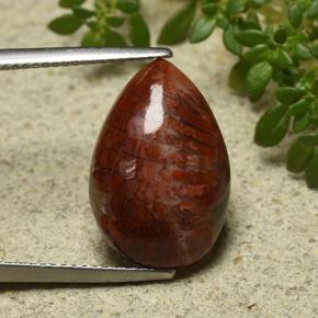 7.90캐럿 천연 다색 산호, 배 모양, 불투명체