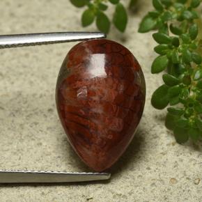 7.90캐럿 천연 다색 산호, 배 모양, 불투명체