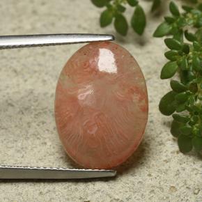 6.55캐럿 천연 멀티컬러 산호, 타원형 컷, 17.3×12.8 mm, 투명한