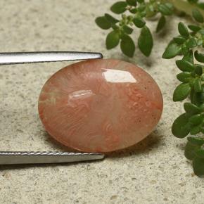 6.55캐럿 천연 멀티컬러 산호, 타원형 컷, 17.3×12.8 mm, 투명한