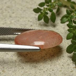 6.55캐럿 천연 멀티컬러 산호, 타원형 컷, 17.3×12.8 mm, 투명한