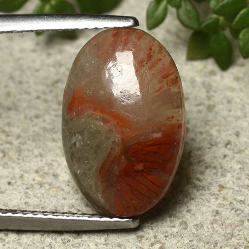 5.91캐럿 천연 멀티컬러 산호, 타원형 컷, 16.1×10.6 mm, 투명한