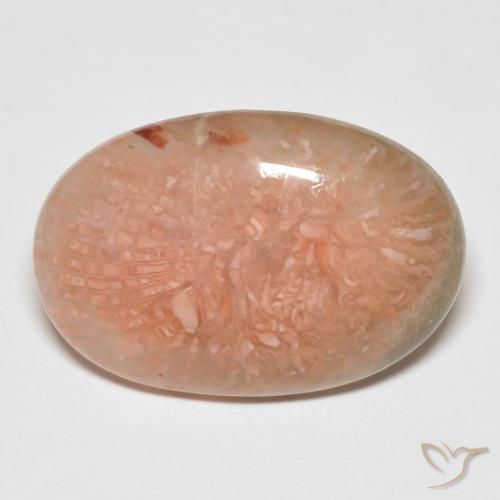 11.50ct 자연스러운 다색 산호, 타원형, 투명한